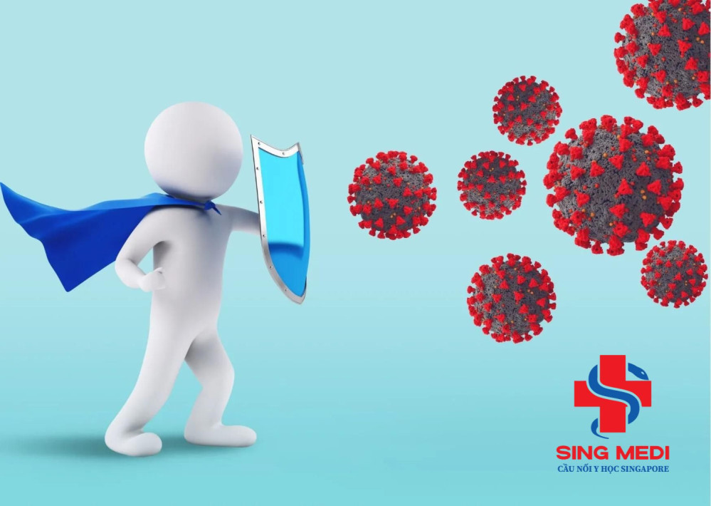 Cơ chế hoạt động của hệ miễn dịch